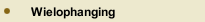 Wielophanging